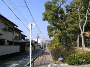 敷地の南側（周辺は一戸建てが中心に建ち並んでいます）