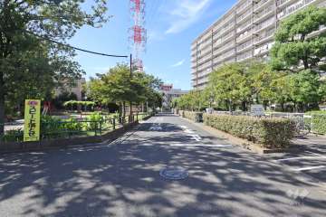 敷地南東側の前面道路（北東側から）
