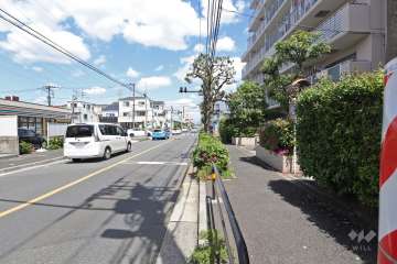敷地西側の前面道路（南側から）