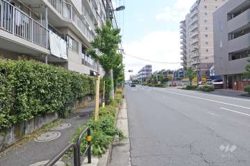 敷地南側の前面道路（西側から）