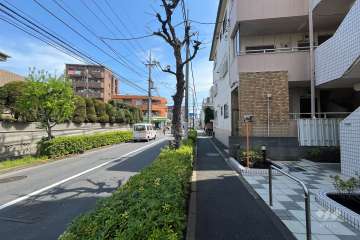 敷地北側の前面道路(西側から)