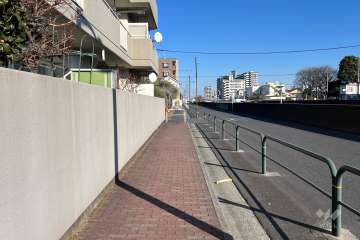 敷地南側の前面道路（西側から）