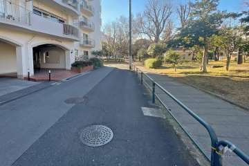 敷地西側の前面道路（北側から）