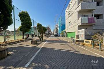 敷地南側の前面道路（東側から）