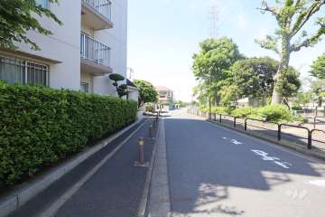 敷地東側の前面道路（南側から）