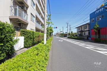 敷地南側の前面道路（西側から）