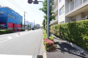 敷地南側の前面道路（東側から）