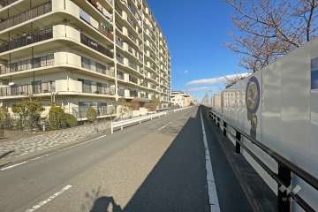 敷地南側の前面道路（西側から）