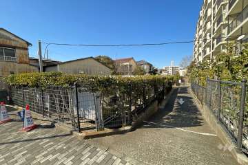 敷地西側の前面道路（南側から）