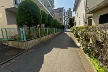 敷地西側の前面道路（北側から）