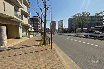 敷地南側の前面道路（西側から）