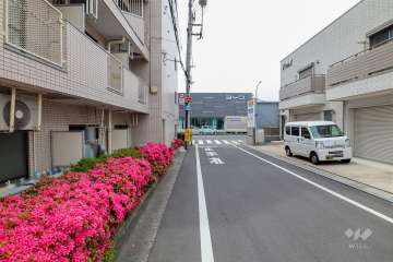 敷地西側の前面道路（北側から）