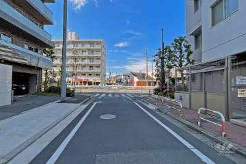 敷地の西側前面道路（南側から）