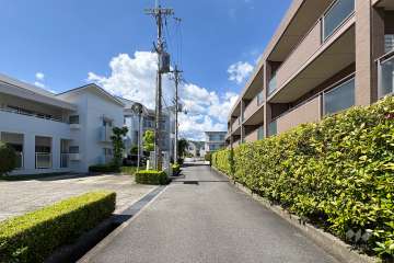 敷地西側の前面道路（南側から）