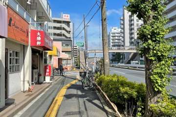 敷地南側の前面道路（西側から）