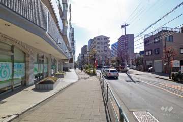 敷地西側の前面道路（北側から）