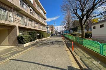 敷地南側の前面道路（西側から）