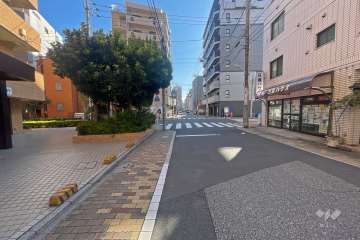 敷地南側の前面道路（西側から）
