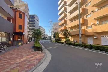 敷地東側の前面道路（北側から）