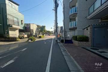 敷地南側の前面道路（北側から）