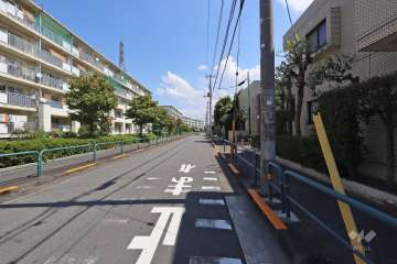 敷地北側の前面道路（西側から）