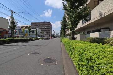 敷地南側の前面道路(東側から)