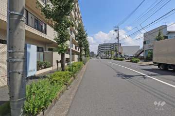 敷地南側の前面道路(西側から)