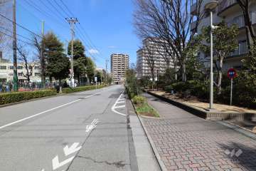 敷地の西側前面道路（南側から）