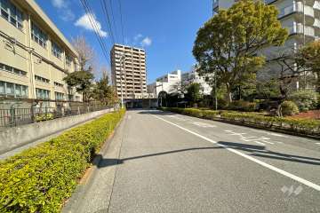 敷地西側の前面道路（南側から）