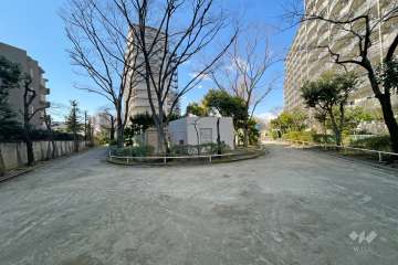 敷地南側の前面道路（東側から）