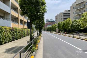 敷地の南側前面道路（西側から）