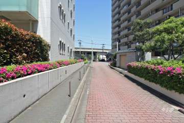 敷地の東側道路（南側から）