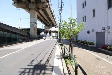 敷地の西側道路（南側から）