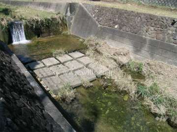 澄んだ水が流れる白瀬川