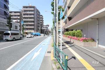 敷地西側の前面道路　