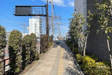 敷地の西側前面道路（南側から）