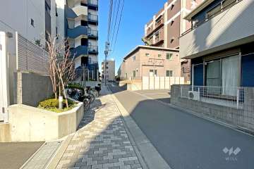 敷地の南側前面道路（西側から）