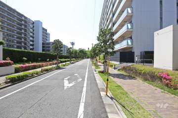 敷地南側の前面道路（東側から）