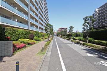 敷地南側の前面道路（西側から）