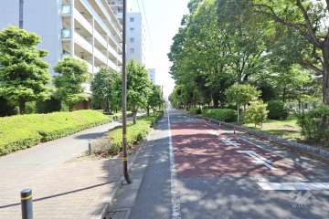 敷地西側の前面道路（北側から）