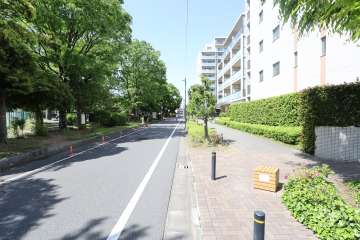 敷地の西側道路（南側から）