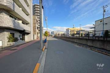 敷地の南側前面道路（西側から）