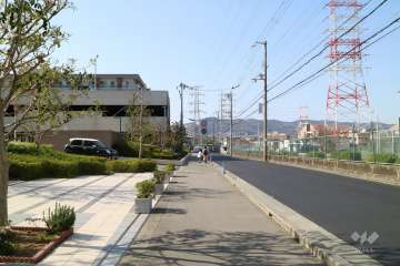 敷地東側の前面道路
