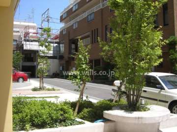 敷地内には植栽が多く緑豊か。