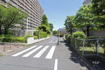 敷地南側の前面道路（西側から）