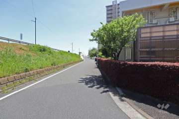 敷地東側の前面道路（北側から）