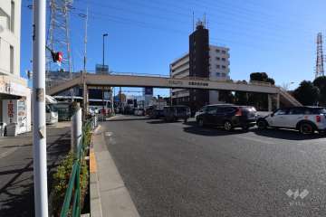 敷地南側の前面道路(西側から)