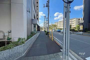 敷地北側の前面道路（東側から）