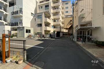 敷地の西側前面道路（北側から）