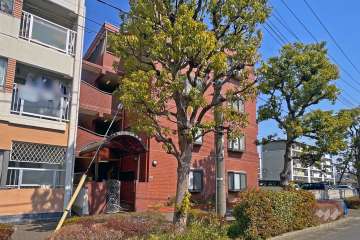 ＴＫハイム西新井の外観（南西側から）